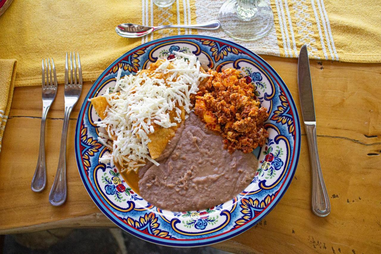 Del Rocio Parras de la Fuente
